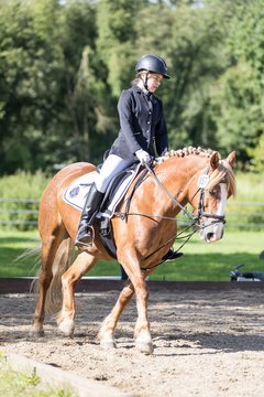 Bild 44 - Pony Akademie Turnier